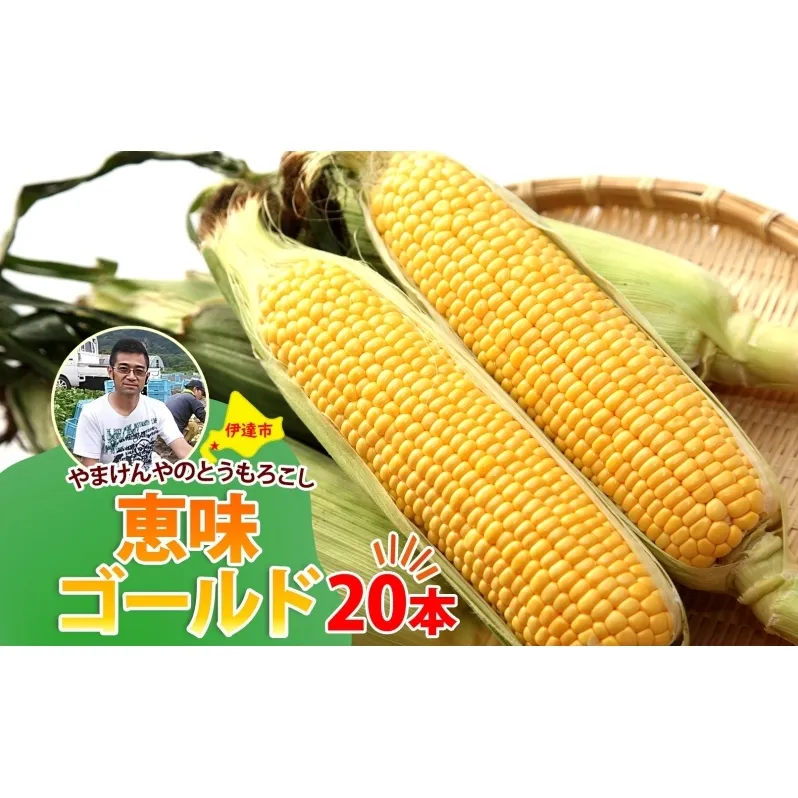 やまけんや とうもろこし 恵味ゴールド 20本 スイートコーン コーン 甘い サラダ スープ 生でも美味しい 産地直送 BBQ とうきび 国産 人気 バーベキュー 焼きとうもろこし 取り寄せ 糖度 北海道 伊達市