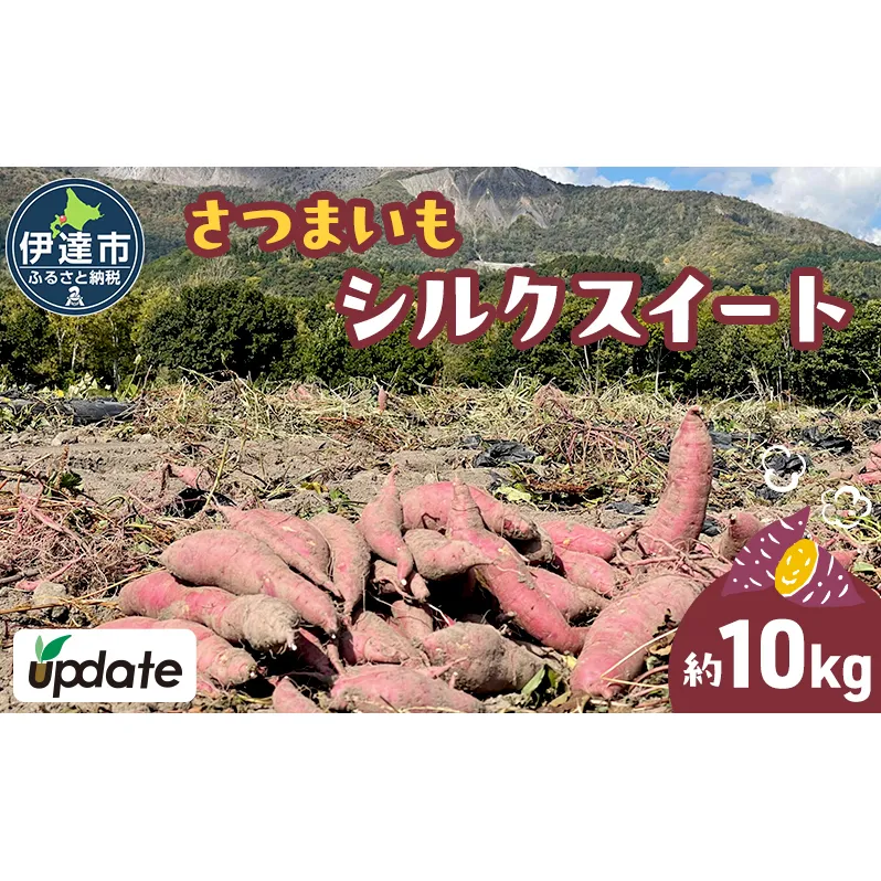 北海道 伊達 さつまいも シルクスイート 10kg 熟成 高糖度 サツマイモ 芋 甘い スイートヤバ芋 産地直送