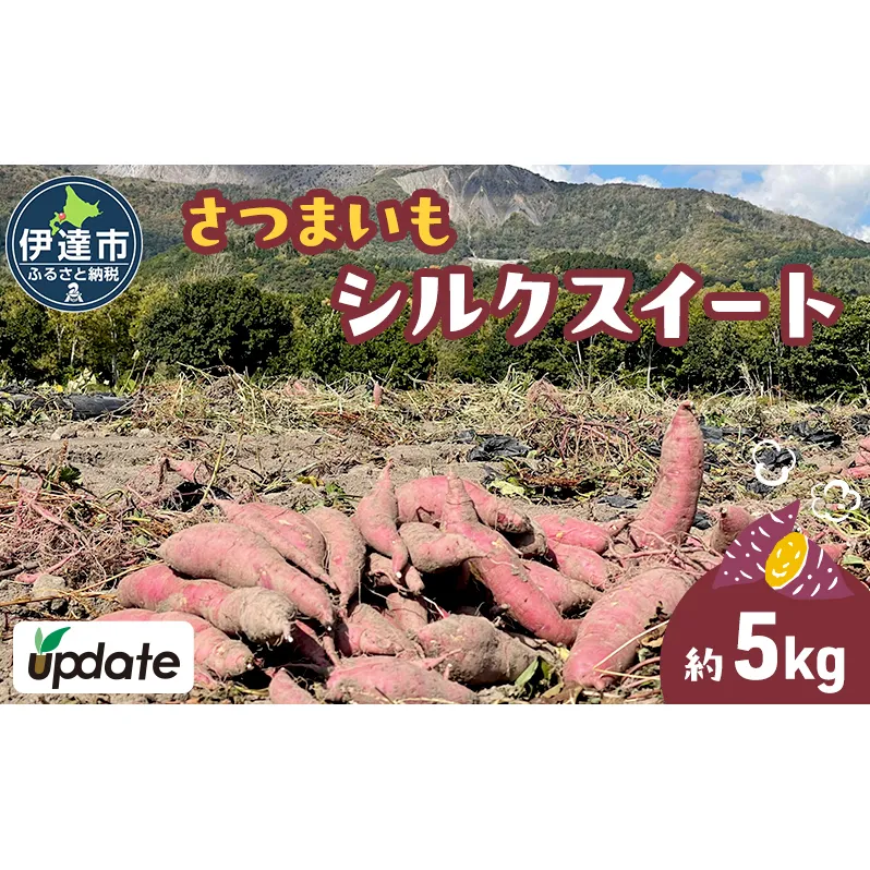 北海道 伊達 さつまいも シルクスイート 5kg 熟成 高糖度 サツマイモ 芋 甘い スイートヤバ芋 産地直送