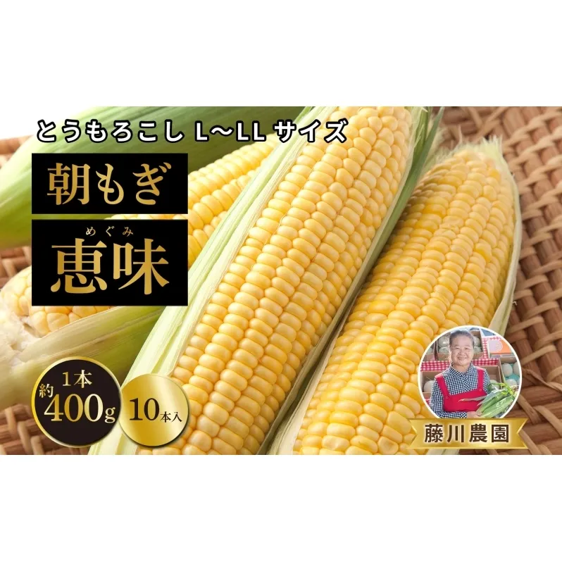 北海道産 朝もぎ とうもろこし 恵味 L-LLサイズ 約400g×10本 スイートコーン ゴールドコーン トウモロコシ とうきび コーン 旬 完熟 野菜 甘い おやつ 産地直送 お取り寄せ 北海道 藤川農園 送料無料 伊達