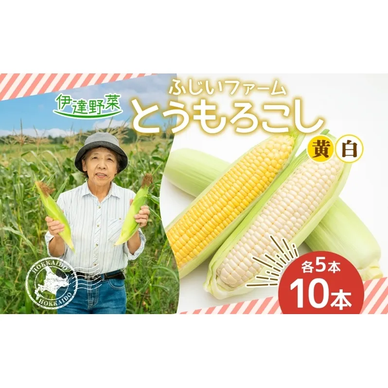  北海道産 とうもろこし 恵味 ゴールドラッシュ ホイップコーン トウモロコシ とうきび イエロー ホワイト コーン スイートコーン 旬 新鮮 産地直送 野菜 めぐみ ふじいファーム  送料無料 北海道 伊達