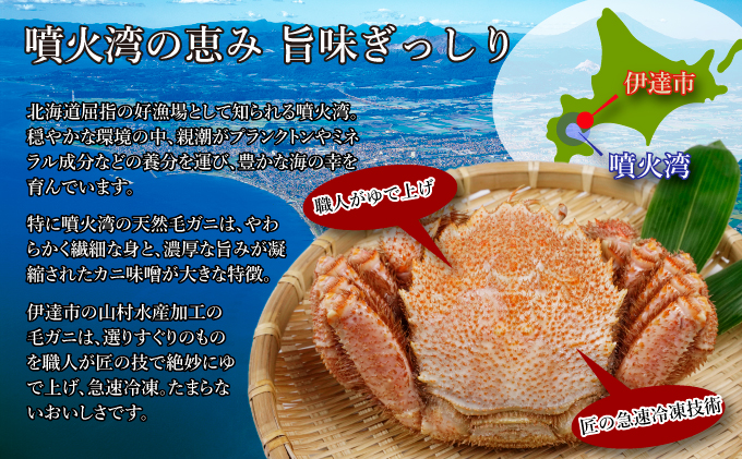 北海道産 ボイル 毛蟹 3杯 約1kg 蟹 カニ かに 毛ガニ 毛がに 噴火湾 魚介類 海の幸 海鮮 天然 職人 蟹味噌 丸ごと 蟹肉 蟹姿 産地直送  お取り寄せ 山村水産 送料無料｜伊達市｜北海道｜返礼品をさがす｜まいふる by AEON CARD