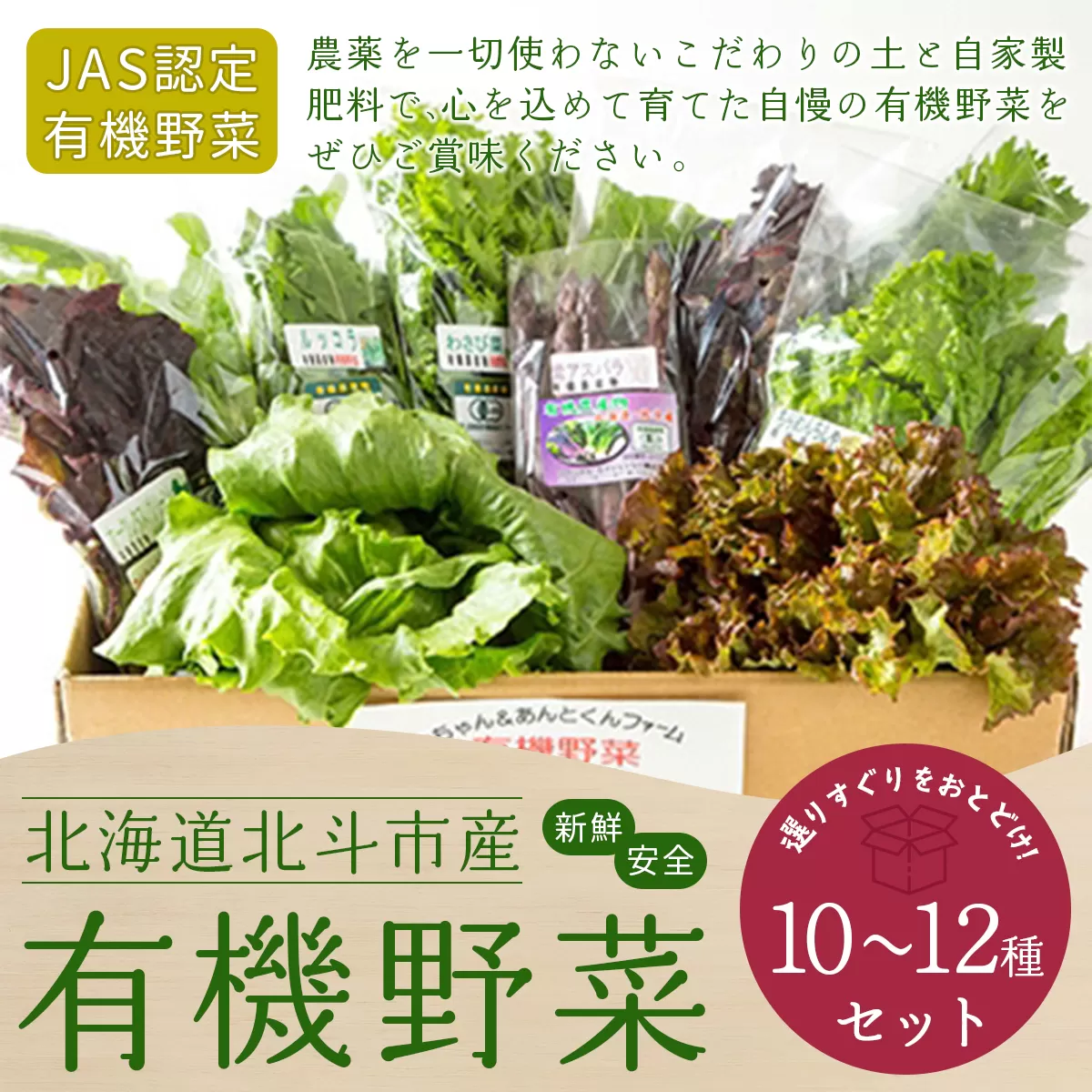 【JAS認定有機野菜】北斗市産 有機野菜10〜12種類野菜セット 紙箱入(季節で種類が変わります) HOKB021
