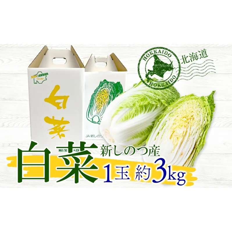 北海道 新しのつ産 白菜 1玉 約3kg ハクサイ 農作物 野菜 葉物野菜 葉物 旬 国産 生食 甘い ヘルシー 漬物 鍋 鍋料理 煮込み料理 産地直送 お取り寄せ 冷蔵 送料無料