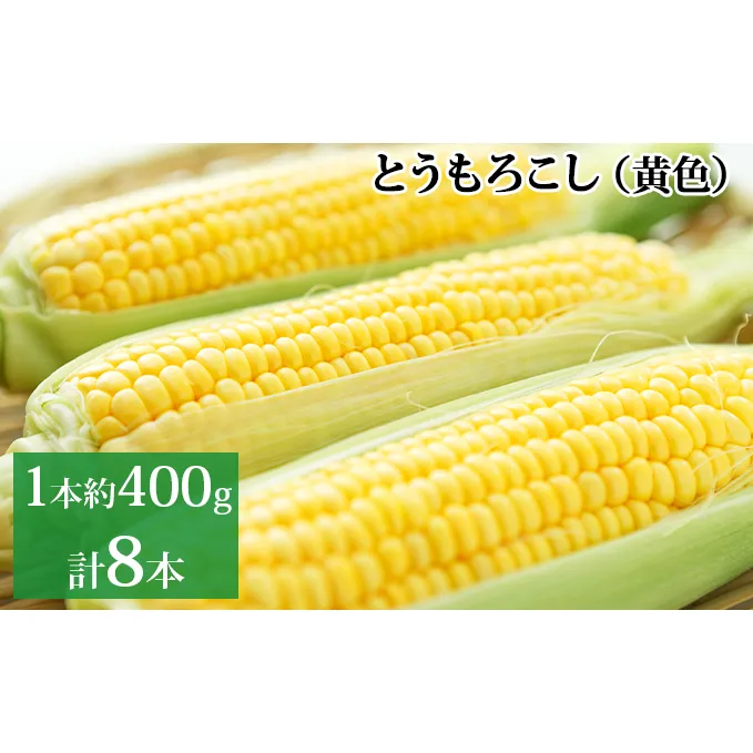 新しのつ産 とうもろこし (黄色) 2Lサイズ 8本