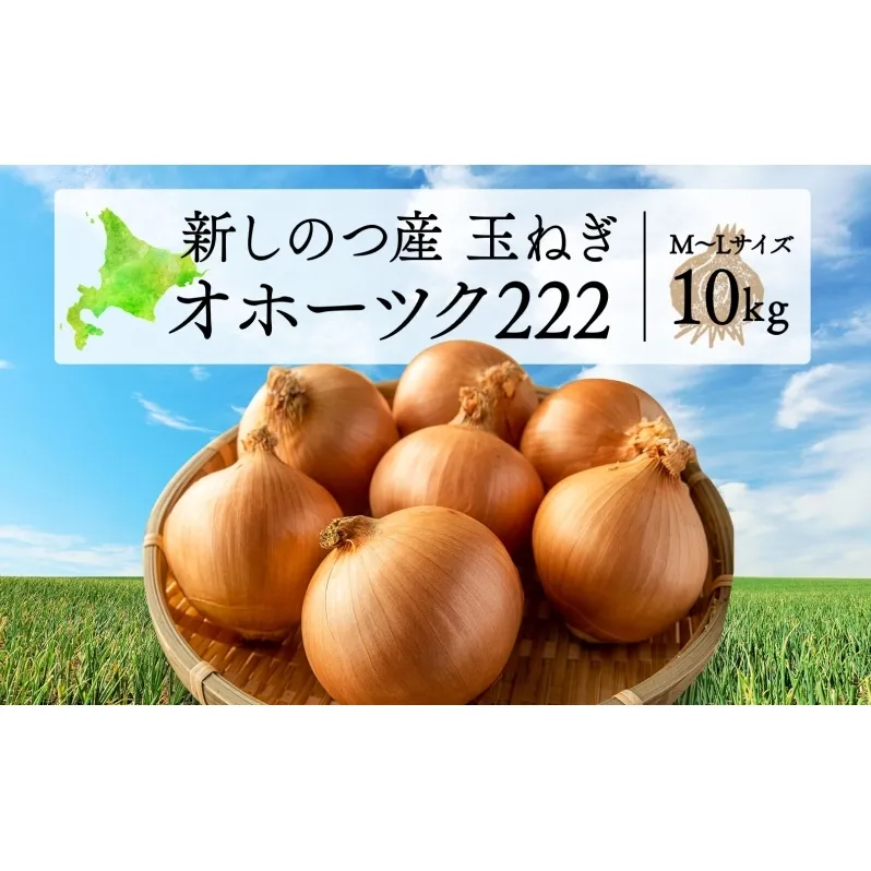 北海道 新しのつ産 玉ねぎ  M-L サイズ混合 約10kg オホーツク222 葱 たまねぎ タマネギ オニオン 旬 甘い 農作物 野菜 国産 生食 サラダ かき揚げ 長期保存 送料無料