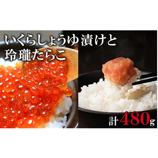 北海道産いくら240g 玲瓏たらこ240g 丸鮮道場水産 小分け 食べ切り 食べきり しょうゆ漬け いくら イクラ 醤油いくら たらこ タラコ 無着色 いくら イクラ 醤油いくら たらこ タラコ 無着色 いくら イクラ 醤油いくら たらこ タラコ 無着色 いくら イクラ 醤油いくら たらこ タラコ 無着色 いくら イクラ 醤油いくら たらこ タラコ 無着色 いくら イクラ 醤油いくら たらこ タラコ 無着色 いくら イクラ 醤油いくら たらこ タラコ 無着色 いくら イクラ 醤油いくら たらこ タラコ 無