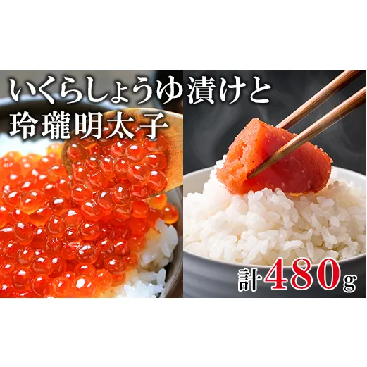 北海道産いくら240g 玲瓏明太子240g 丸鮮道場水産 小分け 食べ切り 食べきり 送料無料 いくら イクラ 醤油いくら いくら イクラ 醤油いくら いくら イクラ 醤油いくら いくら イクラ 醤油いくら いくら イクラ 醤油いくら いくら イクラ 醤油いくら いくら イクラ 醤油いくら いくら イクラ 醤油いくら いくら イクラ 醤油いくら いくら イクラ 醤油いくら いくら イクラ 醤油いくら いくら イクラ 醤油いくら いくら イクラ 醤油いくら いくら イクラ 醤油いくら いくら イクラ 醤油い