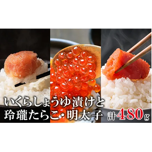 北海道産いくら240g 玲瓏たらこ120g 玲瓏明太子120g 丸鮮道場水産 小分け 食べきり 食べ切り