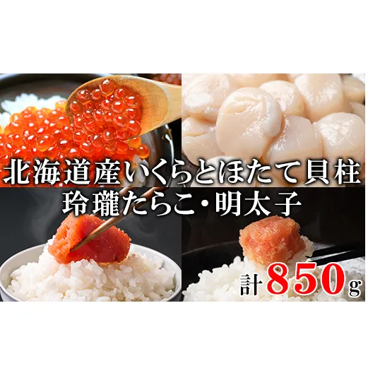 北海道産いくら200g 大粒ほたて貝柱250g 玲瓏たらこ200g 玲瓏明太子200g 丸鮮道場水産 小分け 食べ切り 食べきり