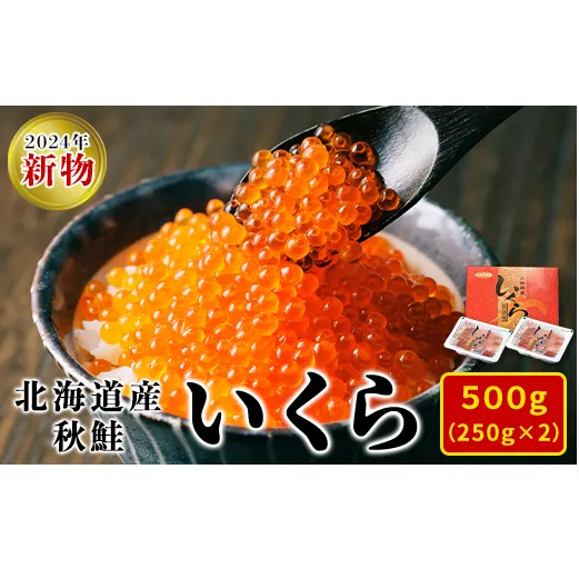 【2024年新物】北海道産いくら 500g（250g×2パック）小分け