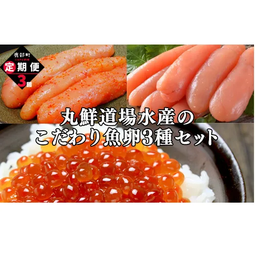 【定期便】丸鮮道場水産のこだわり魚卵３種セット 毎月計3回 小分け 食べ切り 食べきり 定期便 いくら イクラ 醤油いくら たらこ タラコ 明太子 めんたいこ 定期便 いくら イクラ 醤油いくら たらこ タラコ 明太子 めんたいこ 定期便 いくら イクラ 醤油いくら たらこ タラコ 明太子 めんたいこ 定期便 いくら イクラ 醤油いくら たらこ タラコ 明太子 めんたいこ 定期便 いくら イクラ 醤油いくら たらこ タラコ 明太子 めんたいこ 定期便 いくら イクラ 醤油いくら たらこ タラコ 明太子 め