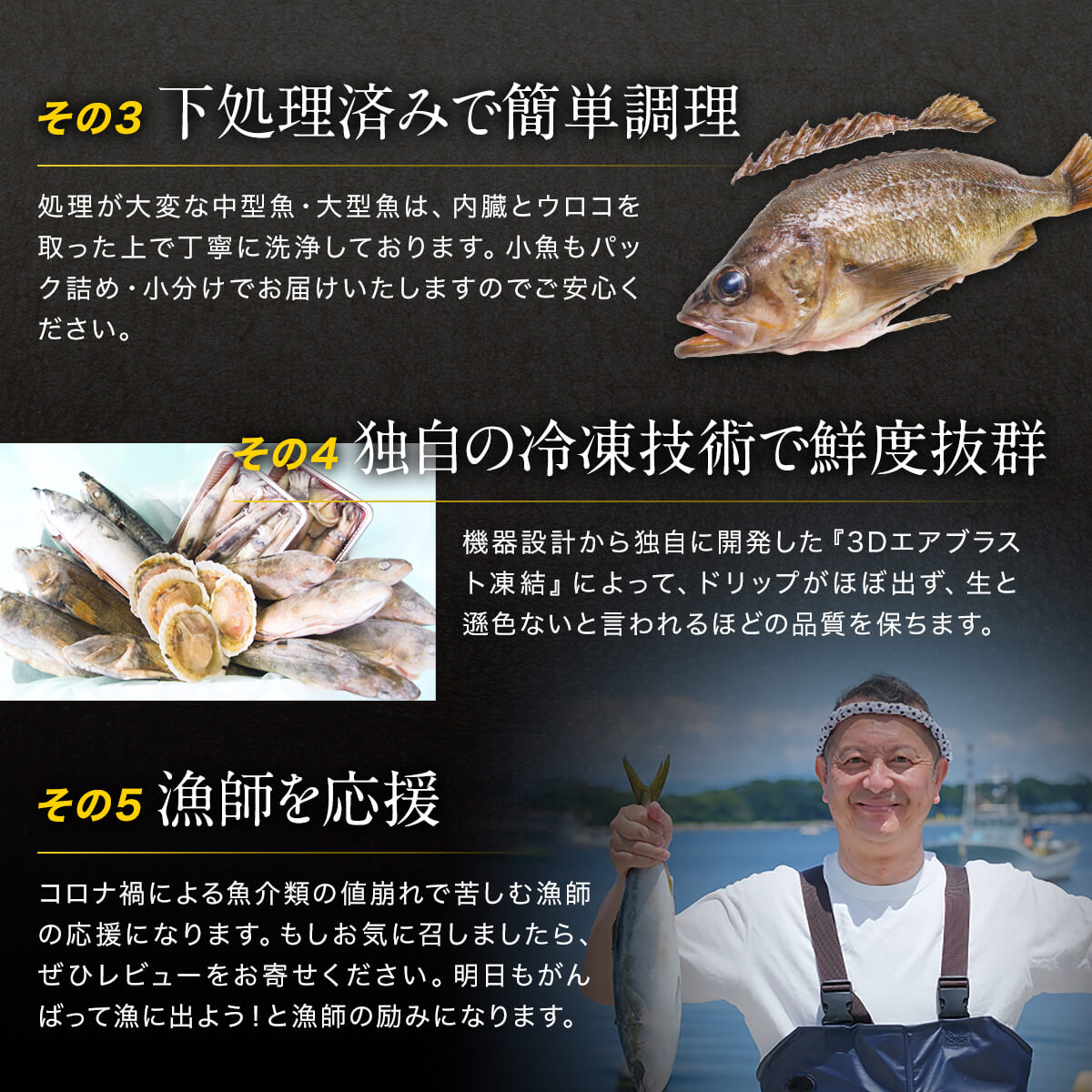 2024年7月下旬発送】【緊急支援品】北海道 冷凍鮮魚セット 最大4.5kg