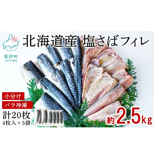 【北海道産】塩サバフィレ約2.5kg 20枚（4枚入×5袋） 無添加 小分け