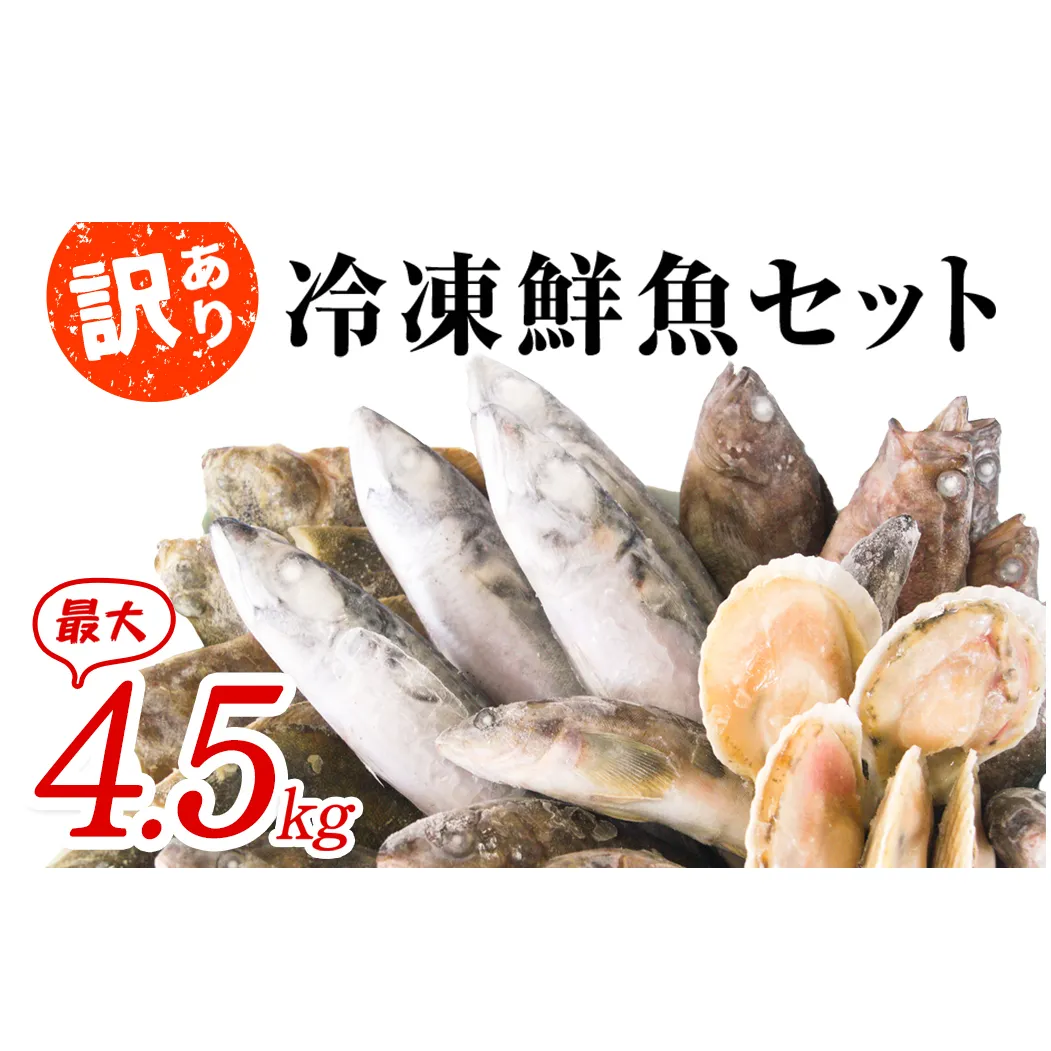 【2024年12月下旬発送】【緊急支援品】北海道 冷凍鮮魚セット 最大4.5kg 「漁師応援プロジェクト！」 下処理済み 4～5種 ホタテが必ず入る おまかせ セット 事業者支援 鮮魚 魚 魚介 訳あり