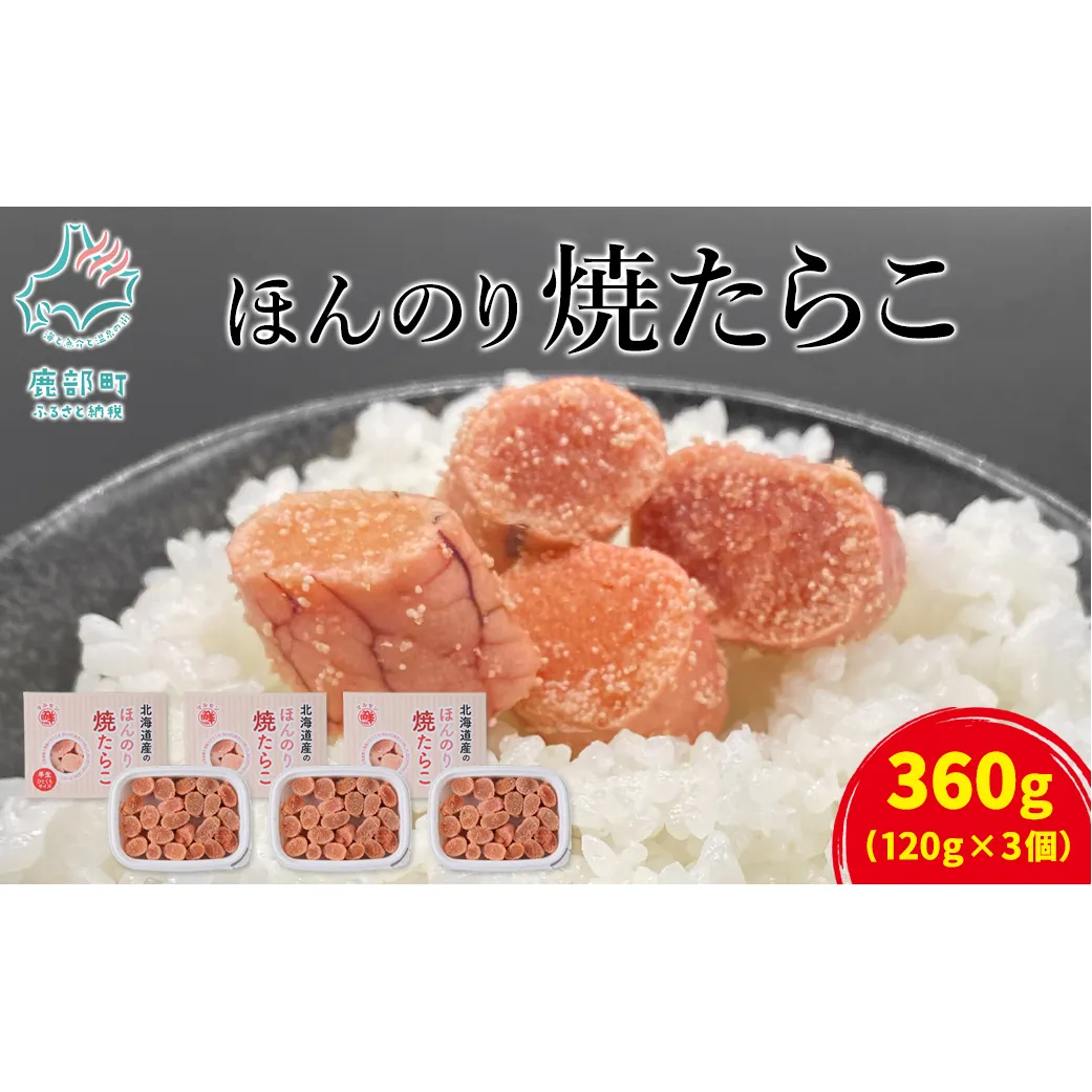 【丸鮮道場水産】北のハイグレード食品2021認定 北海道産 ほんのり焼たらこ 120g×3個（360g） たらこ タラコ