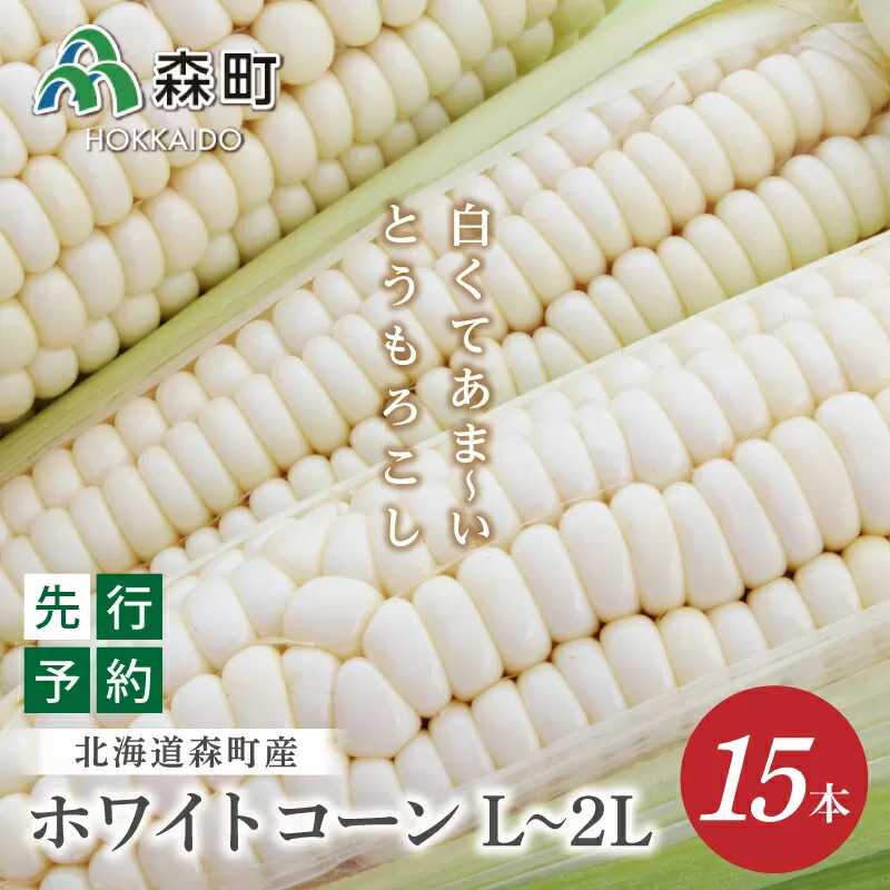 【先行予約】【数量限定】北海道森町産ホワイトコーン L〜2L 15本（2024年7月下旬〜9月中旬までに順次お届け） とうもろこし トウモロコシ  とうきび トウキビ 野菜 やさい 北海道 たっぷり 甘い 朝もぎ 期間限定 ふるさと納税 森町 mr1-0144