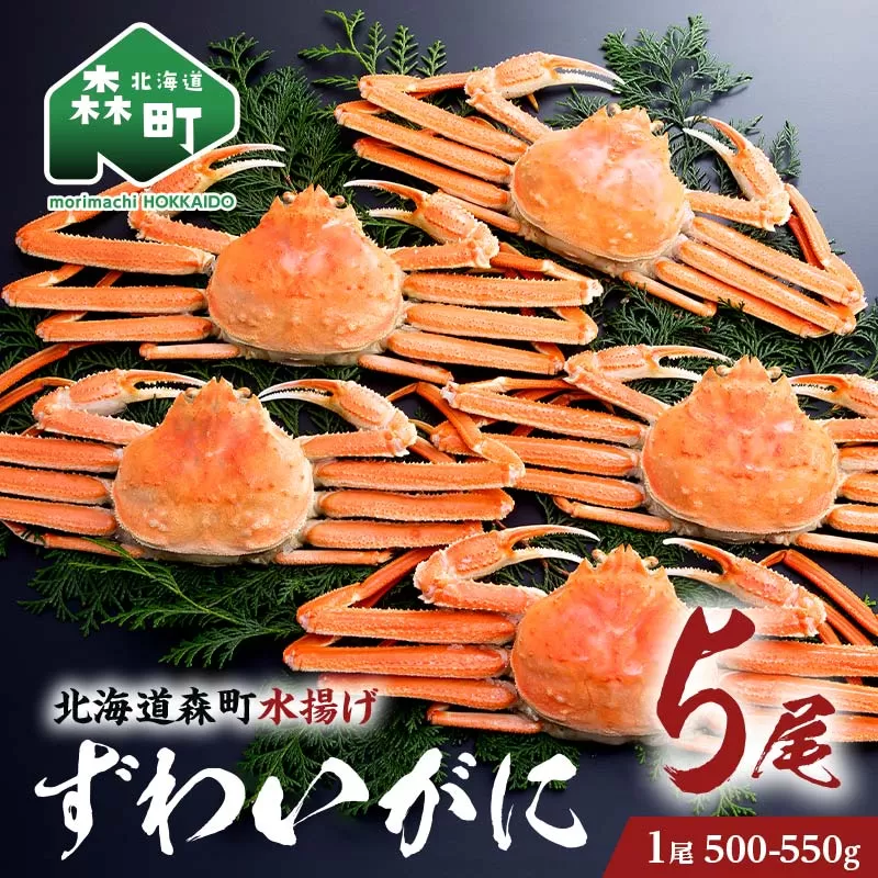 ずわいがに（500g～550g） 5尾入り 北海道森町水揚げ かに カニ 蟹 ガニ がに 森町 ふるさと納税 北海道 ずわいかに ズワイガニ mr1-0634