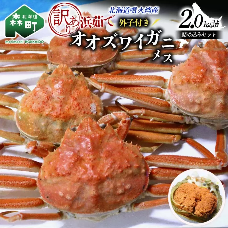 【訳あり】浜茹でオオズワイガニのメス（外子付き）2kg 詰め込みセット 北海道噴火湾産 ＜道産ネットミツハシ＞ かに カニ 蟹 がに 北海道 森町 ふるさと納税 mr1-0727