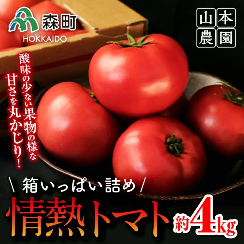 【先行予約】箱いっぱい詰め！情熱トマト 約4kg（9月下旬より順次発送）《山本農園》 森町 トマト 北海道産 ふるさと納税 北海道 mr1-0137