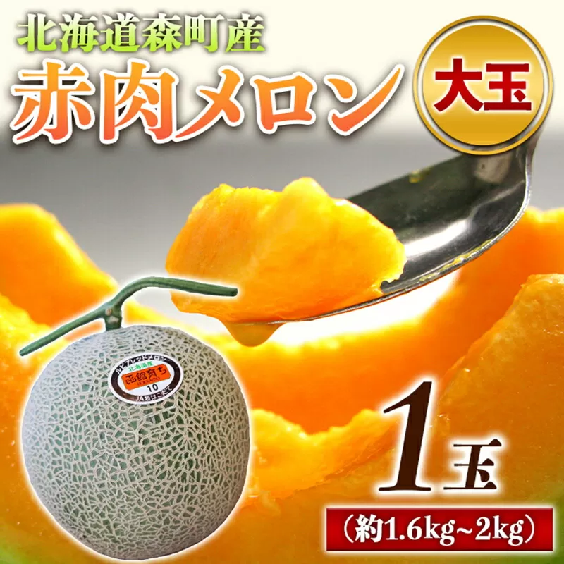 【先行予約】北海道森町産赤肉メロン大玉 1玉（約1.6〜2kg） 24年6月上旬〜8月上旬頃順次発送＜道産ネットミツハシ＞  森町 メロン 果物 赤肉 北海道産 ふるさと納税 北海道 mr1-0143