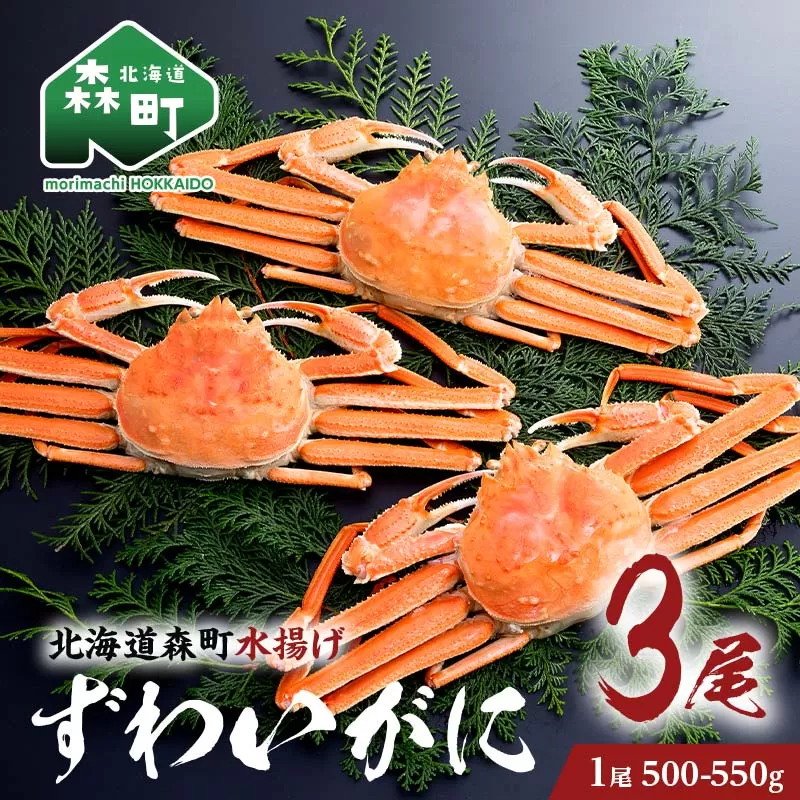 ずわいがに（500g～550g） 3尾入り 北海道森町水揚げ かに カニ 蟹 ガニ がに 森町 ふるさと納税 北海道 ずわいかに ズワイガニ mr1-0632