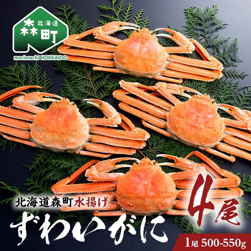 ずわいがに（500g～550g） 4尾入り 北海道森町水揚げ かに カニ 蟹 ガニ がに 森町 ふるさと納税 北海道 ずわいかに ズワイガニ mr1-0633