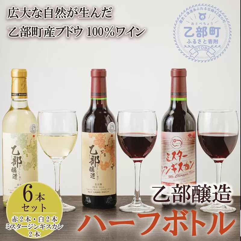 ＜乙部醸造ワイン　ハーフボトル6本セット＞各360ml 赤×2、白×2、ミスタージンギスカン×2  北海道 道産 道産ワイン 北海道産ブドウ 飲み比べ 赤ワイン 白ワイン 富岡ワイナリー