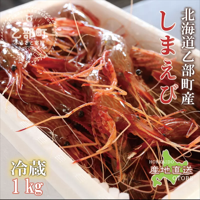 ＜シマエビ(冷蔵)　1kg＞甘く濃厚な味わい！ 北海道 道産 国産 乙部町産 しまえび 海老 日本海 天然 魚介類 新鮮 希少 お刺身 エビチリ 漁師直送 産地直送 送料無料
