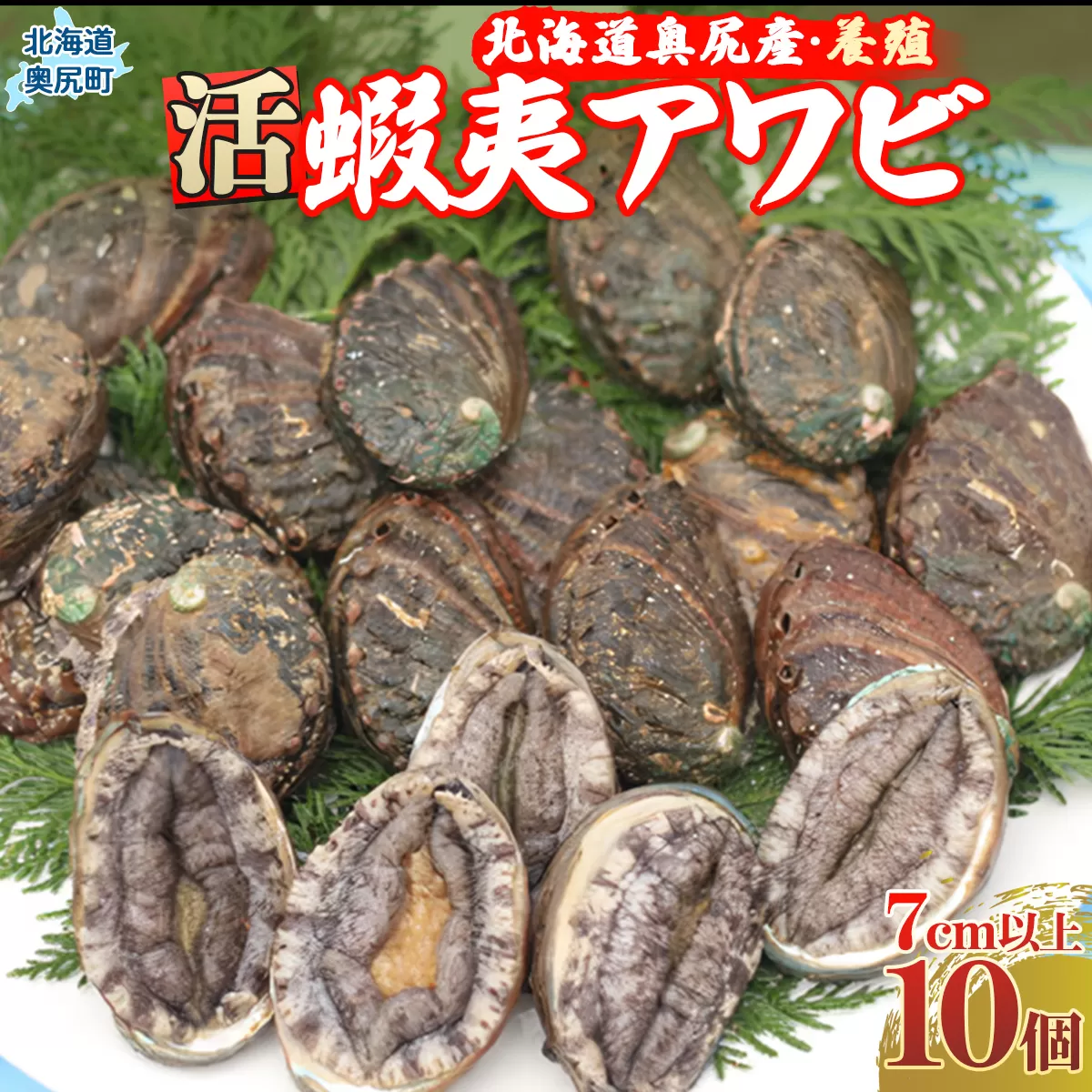 奥尻産活蝦夷アワビ（養殖）１０個入り OKUF004