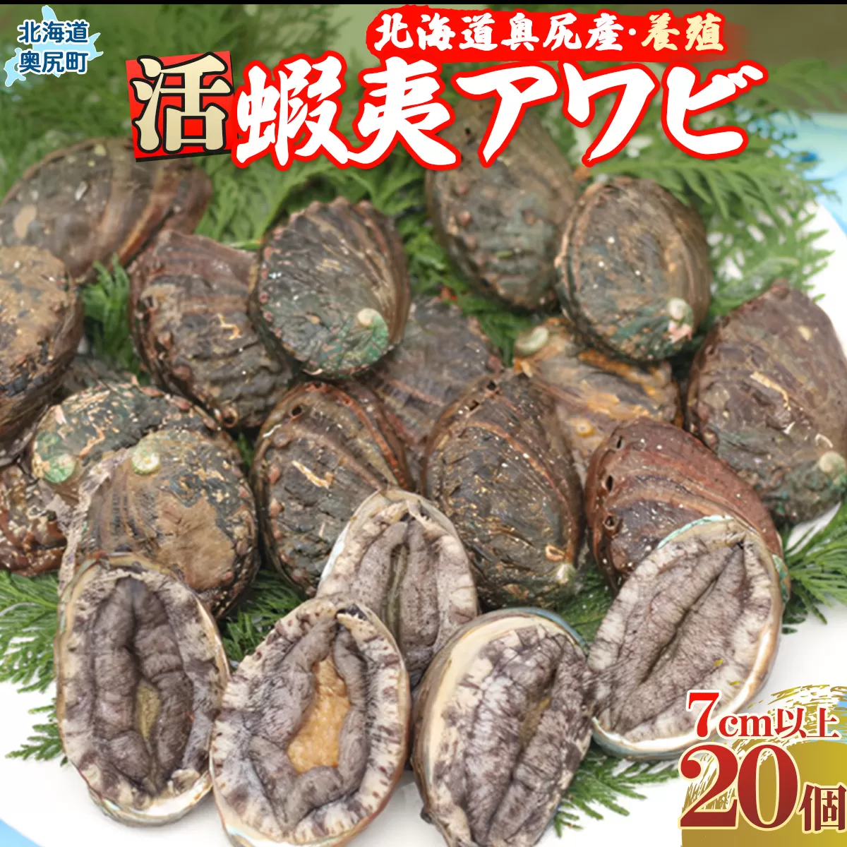 奥尻産活蝦夷アワビ（養殖）２０個入り OKUF005