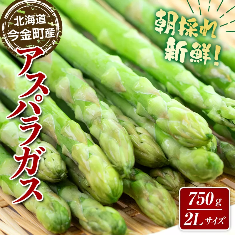 【先行予約】朝採れ新鮮アスパラ 750g （2Lサイズ）（2025年3月下旬〜6月中旬または7月上旬〜9月上旬頃発送） 野菜 秀品 北海道産 バーベキュー BBQ キャンプ 旬野菜 アスパラガス 栄養満点 冷蔵発送 F21W-459