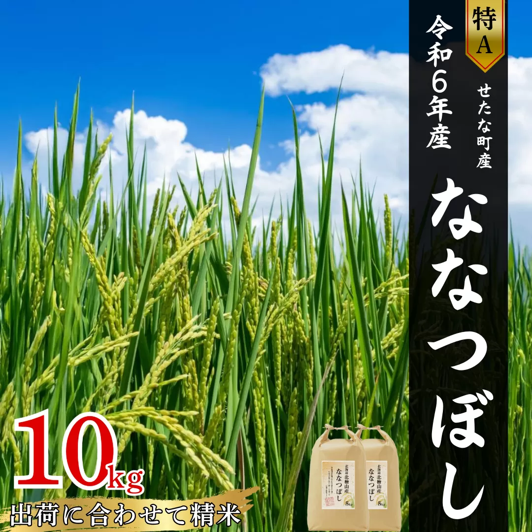 【令和6年産米】北海道せたな町産「ななつぼし」10kg