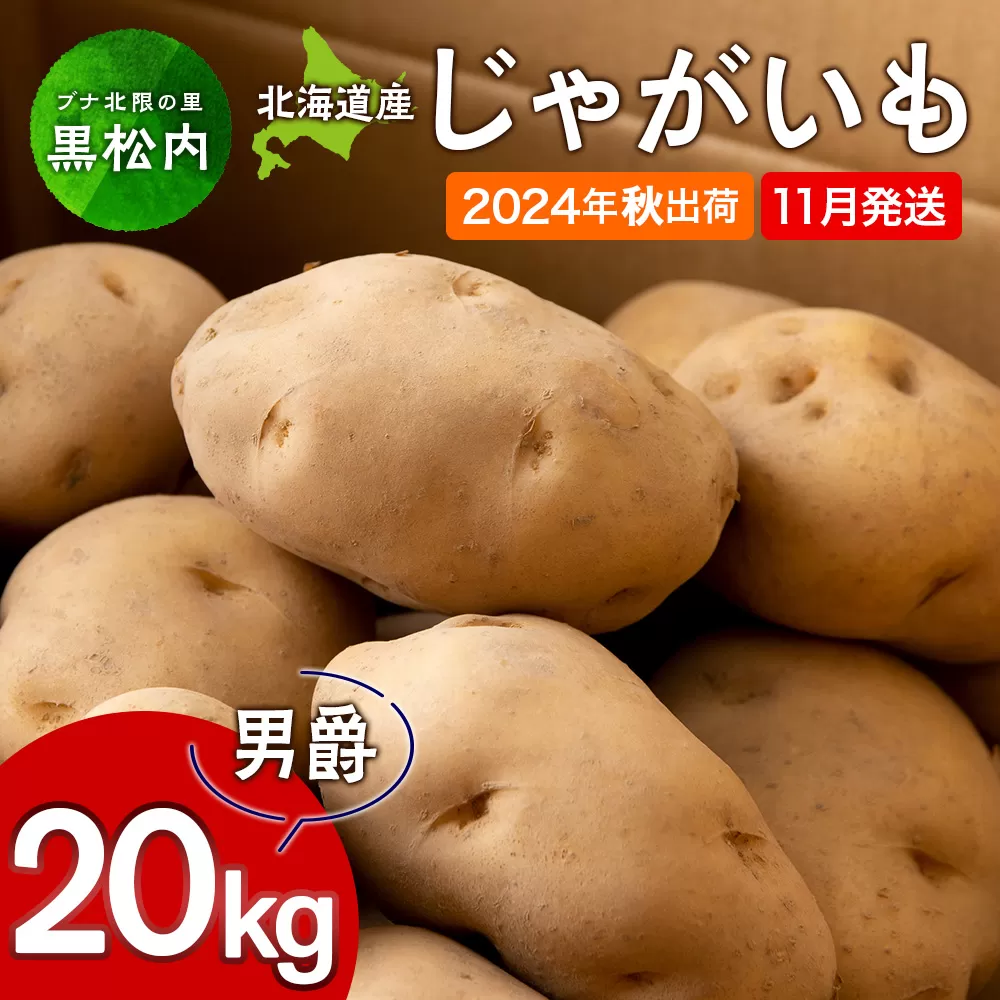 【北海道黒松内産】2024年秋出荷じゃがいも（男爵）20kg 農家直送（11月発送）ジャガイモ 芋 男爵いも 北海道 予約受付