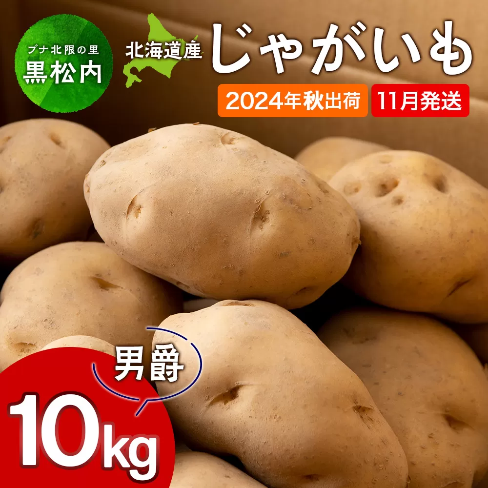 【北海道黒松内産】2024年秋出荷じゃがいも（男爵）10kg 農家直送（11月発送）ジャガイモ 芋 男爵いも 北海道 先行予約