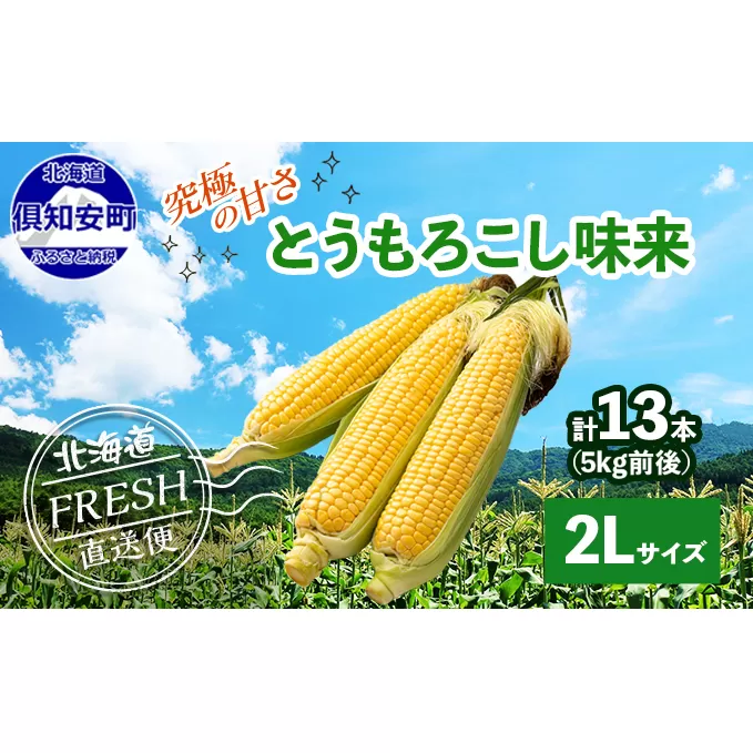 先行予約 2024年 北海道 とうもろこし 味来 みらい 北海道 5kg 2Lサイズ 大きめ 夏野菜 とうきび 旬 新鮮 野菜 トウモロコシ ギフト  産地直送 産直 お取り寄せ 詰め合わせ