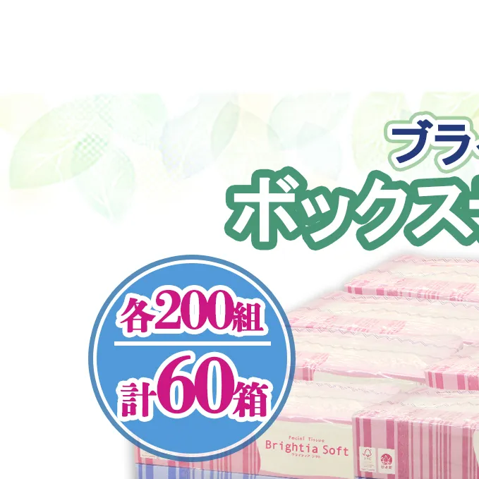 ブライティア ソフト ボックスティッシュ 200組 400枚 60箱 日本製 まとめ買い ティッシュ リサイクル 長持 防災 常備品 日用雑貨 消耗品 生活必需品 備蓄 ペーパー 紙 北海道 倶知安町