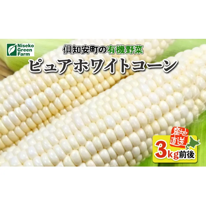 北海道産 とうもろこし 有機 ピュアホワイトコーン 3kg L-LL オーガニック 旬 白い スイート コーン トウモロコシ お取り寄せ 産地直送 野菜 とうきび 送料無料 北海道 倶知安町