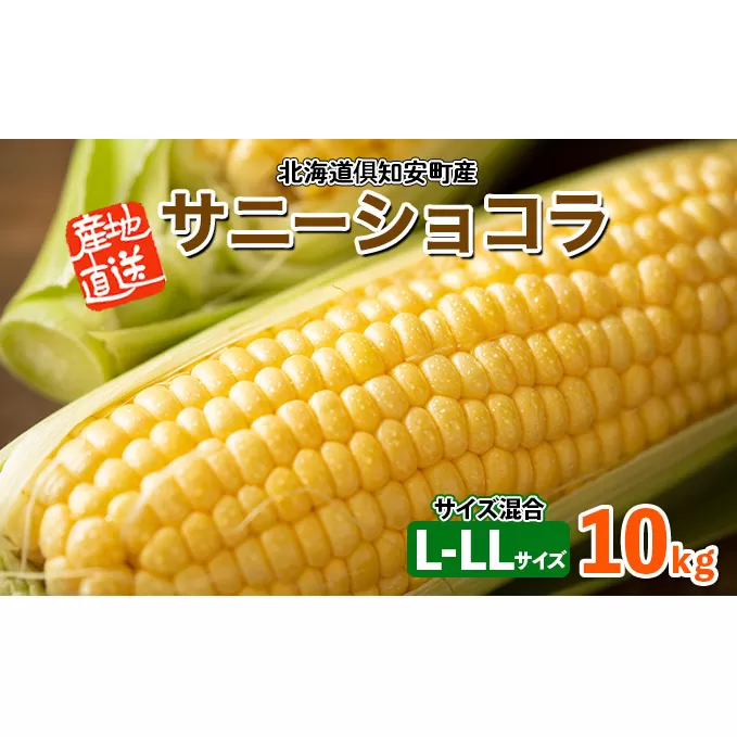 北海道産 とうもろこし サニーショコラ 計18～20本 10kg前後 L-LL 旬 スイート コーン イエロー トウモロコシ お取り寄せ 産地直送 野菜 とうきび 送料無料 北海道 倶知安町