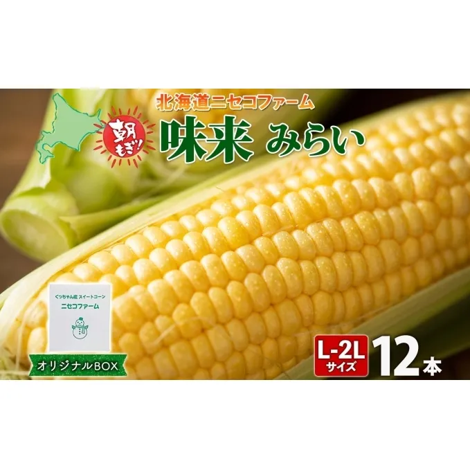 北海道産 とうもろこし 味来 計12本 L-2L サイズ混合 大きめ みらい 旬 朝採り 新鮮 トウモロコシ 甘い 夏野菜 とうきび お取り寄せ 産地直送 野菜 しりべしや 送料無料 北海道 倶知安町