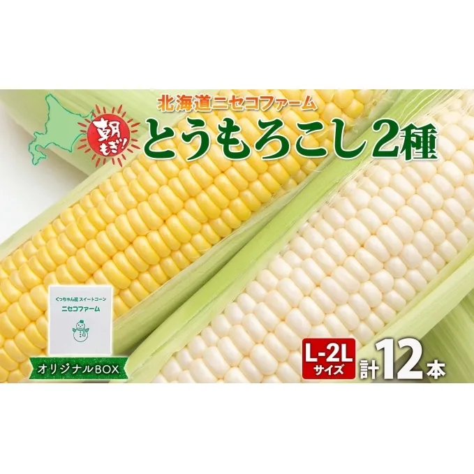 北海道産 とうもろこし 2種 計12本 L-2L サイズ混合  味来 ロイシーコーン 食べ比べ セット 旬 朝採り 新鮮 トウモロコシ とうきび お取り寄せ 産地直送 野菜 しりべしや 送料無料 北海道 倶知安町