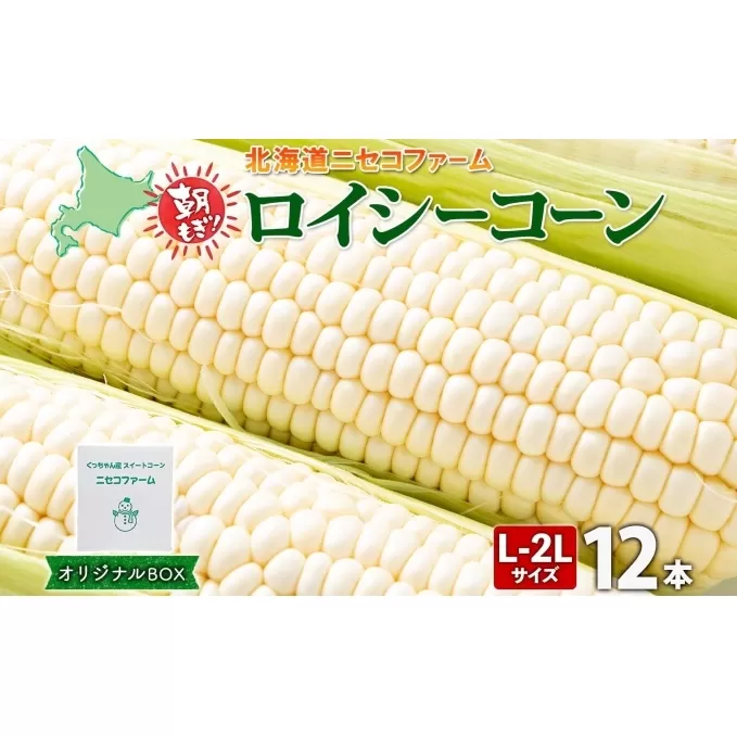 北海道産 とうもろこし 計12本 L-2L サイズ混合 ロイシーコーン 大きめ 旬 朝採り 新鮮 トウモロコシ 甘い 夏野菜 とうきび お取り寄せ 産地直送 野菜 しりべしや 送料無料 北海道 倶知安町