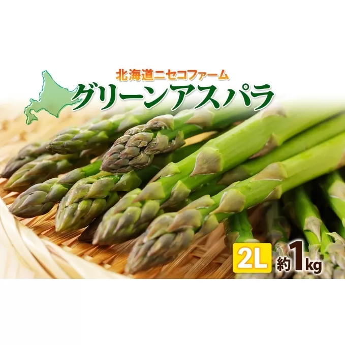 北海道産 グリーン アスパラガス 約1kg 2L アスパラガス アスパラ 旬 朝採り 野菜 新鮮 野菜 お取り寄せ 産地直送 産直 野菜 農作物 詰め合わせ アスパラ 国産 野菜 しりべしや ニセコファーム 北海道