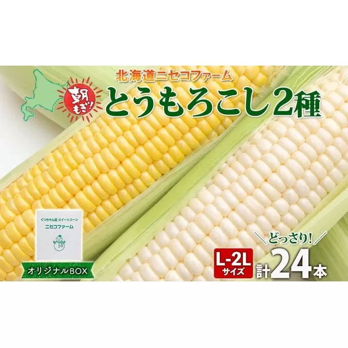 北海道産 とうもろこし 2種 計24本 L-2L サイズ混合  味来 ロイシーコーン 食べ比べ セット 旬 朝採り 新鮮 トウモロコシ とうきび お取り寄せ 産地直送 野菜 しりべしや 送料無料 北海道 倶知安町