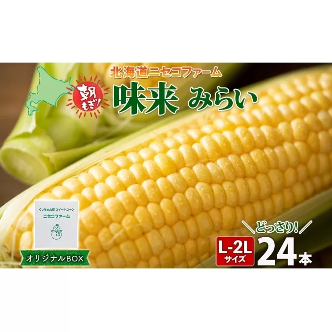 北海道産 とうもろこし 味来 計24本 L-2L サイズ混合 大きめ みらい 旬 朝採り 新鮮 トウモロコシ 甘い 夏野菜 とうきび お取り寄せ 産地直送 野菜 しりべしや 送料無料 北海道 倶知安町