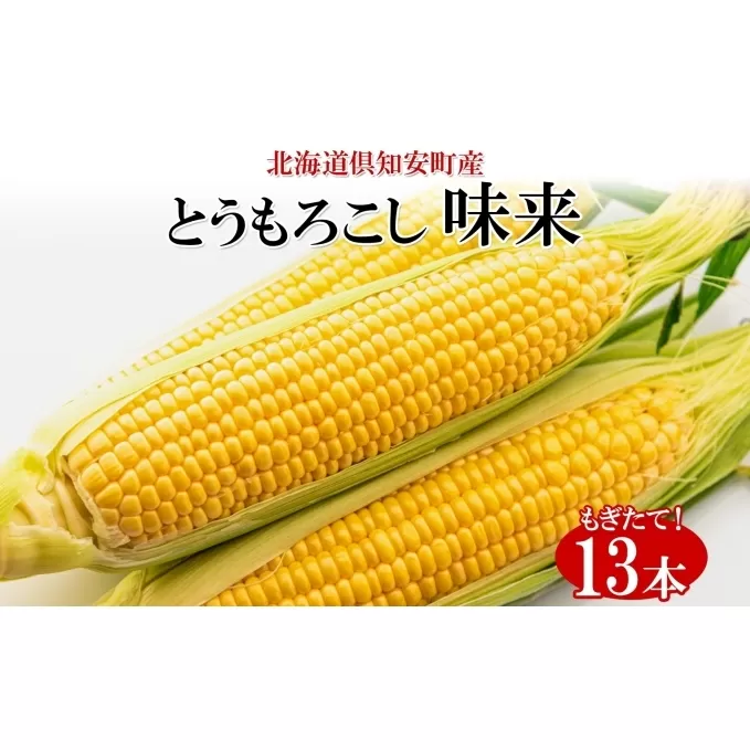 北海道産 朝もぎ イエロー とうもろこし 味来 みらい 2Lサイズ 13本 約5kg 大きめ 夏野菜 とうきび 新鮮 野菜 トウモロコシ ギフト 産地直送 コーン 産直 グリーンアースファーム