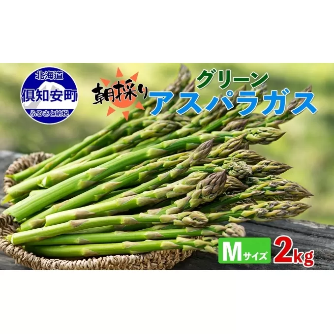 北海道 アスパラガス グリーン 2kg セット Mサイズ 春 限定 旬 朝採り 新鮮 野菜 アスパラ ギフト gift 産地直送 産直 お取り寄せ 詰め合わせ 送料無料 倶知安町