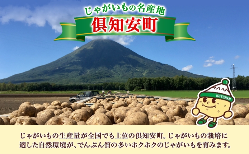 北海道産 じゃがいも 男爵 5kg 規格外 訳あり S-3L サイズ混合 新じゃが 芋 ジャガイモ いも 新鮮 野菜 農作物 お取り寄せ 男しゃく  馬鈴薯 ニセコファーム 送料無料 北海道 倶知安町｜倶知安町｜北海道｜返礼品をさがす｜まいふる by AEON CARD