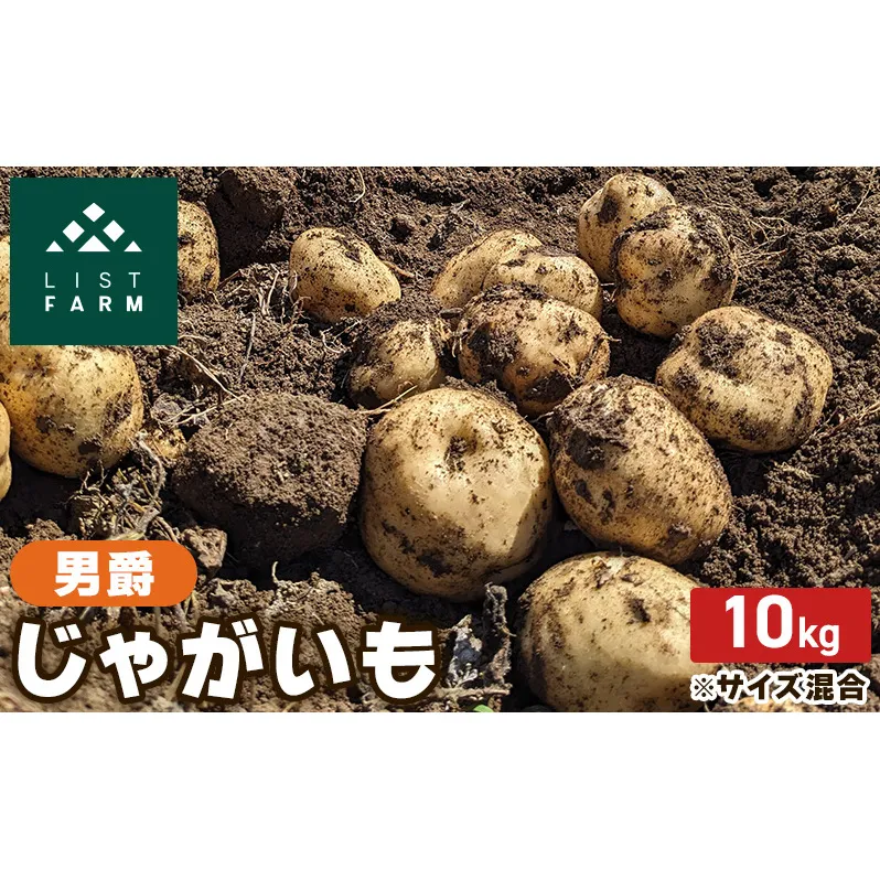 北海道 倶知安 じゃがいも 男爵 10kg リストファーム サイズ 混合 馬鈴薯 芋 ポテト イモ 産地直送 野菜