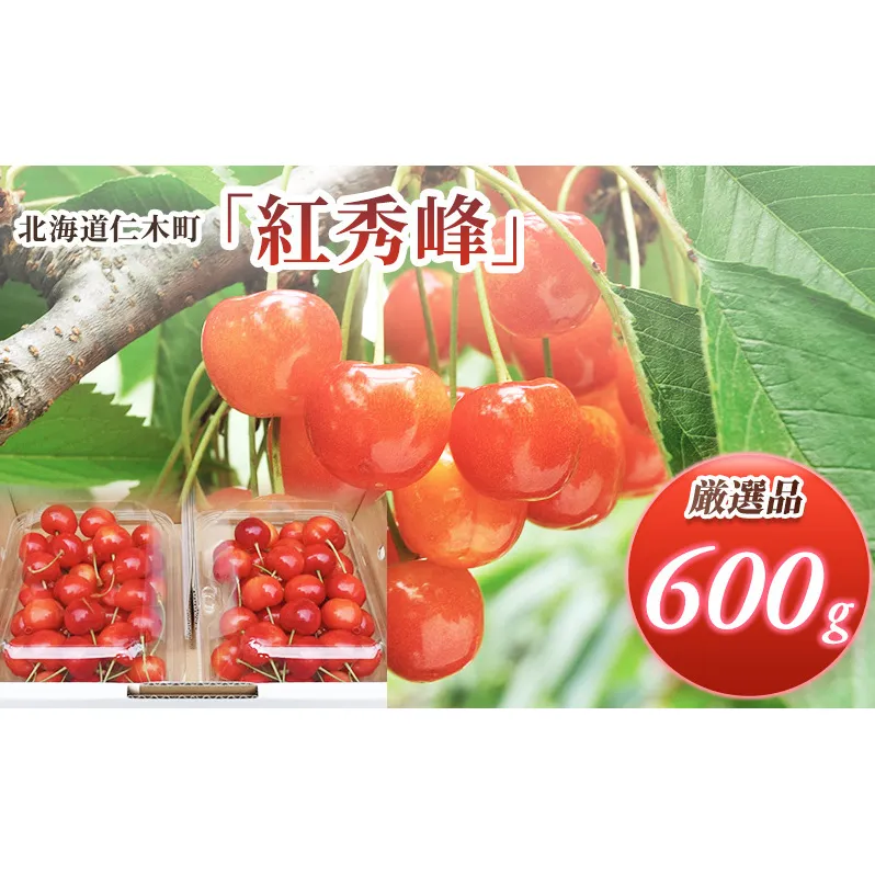 北海道 仁木町産 サクランボ 紅秀峰 600g 厳選品  松山商店